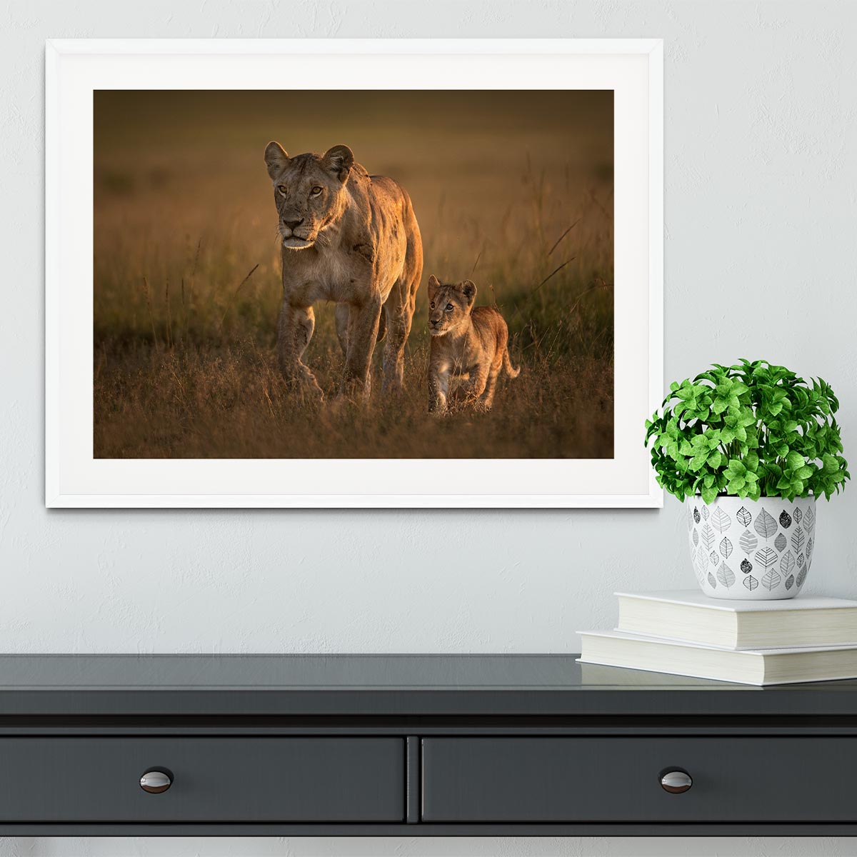 Mom lioness with cub Framed Print - 1x - 5