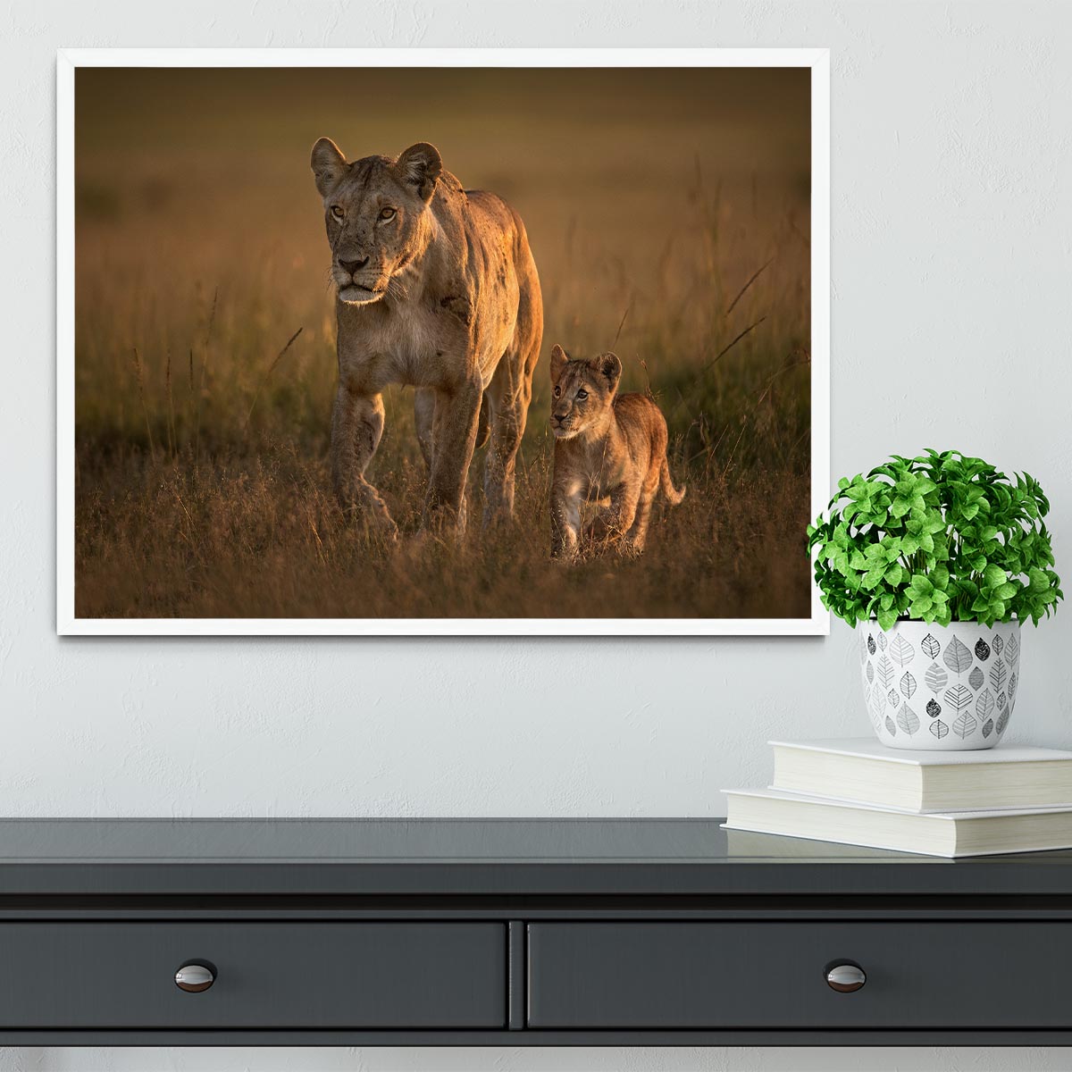 Mom lioness with cub Framed Print - 1x -6