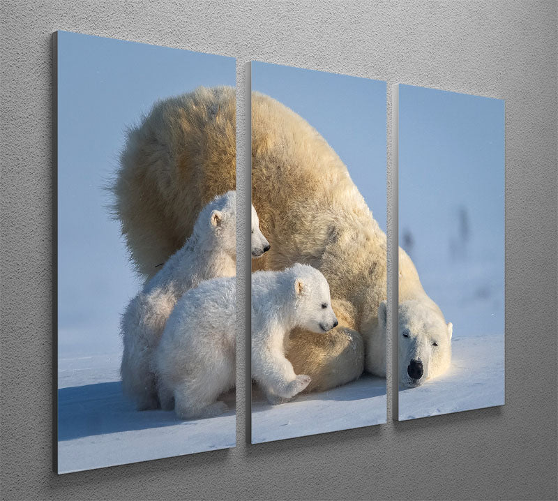 Mum Play together 3 Split Panel Canvas Print - 1x - 2