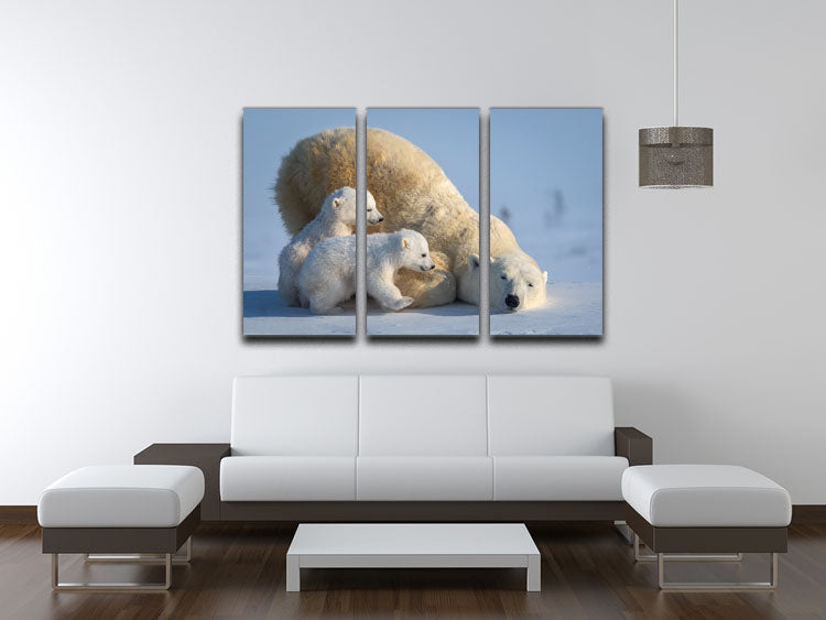 Mum Play together 3 Split Panel Canvas Print - 1x - 3