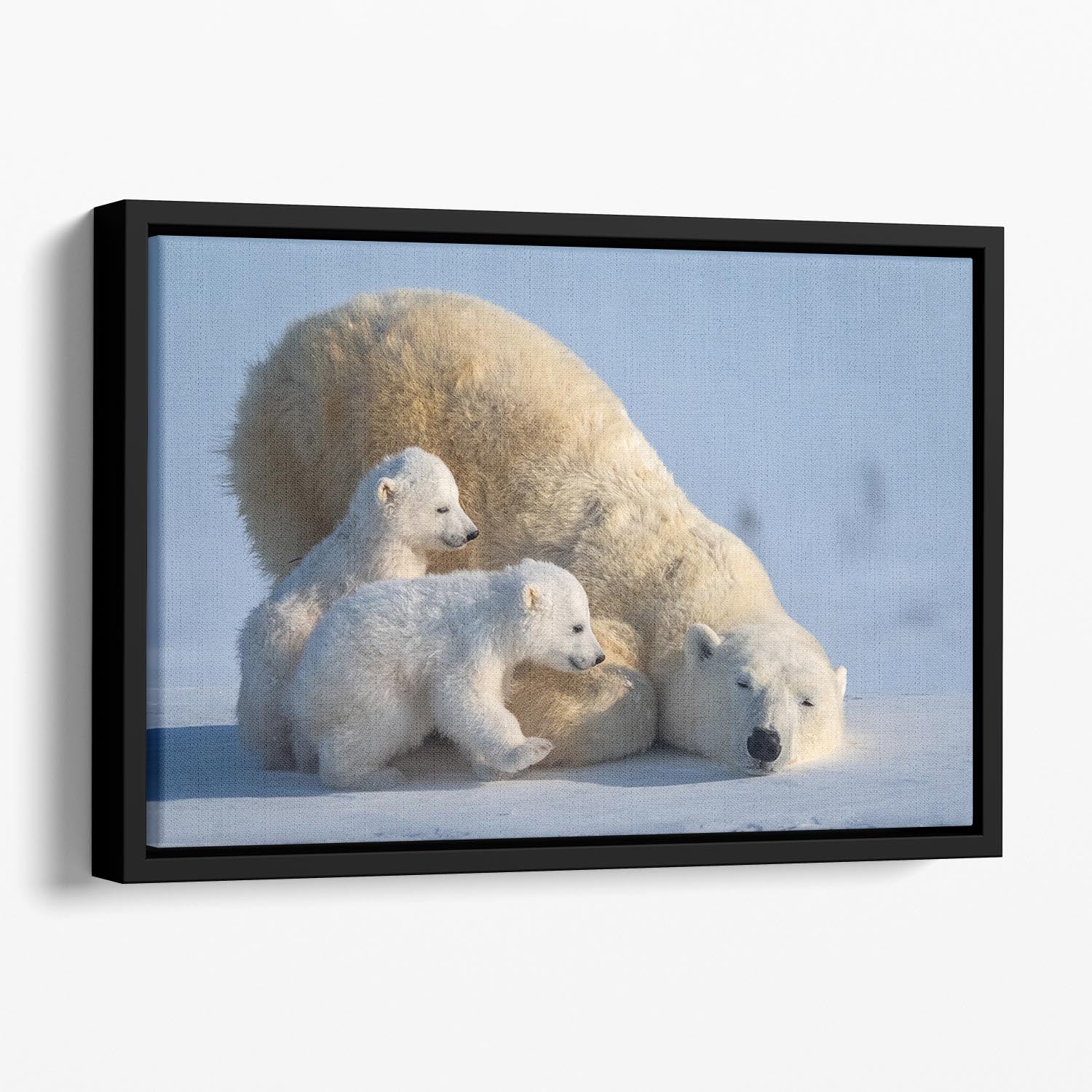 Mum Play together Floating Framed Canvas - 1x - 1