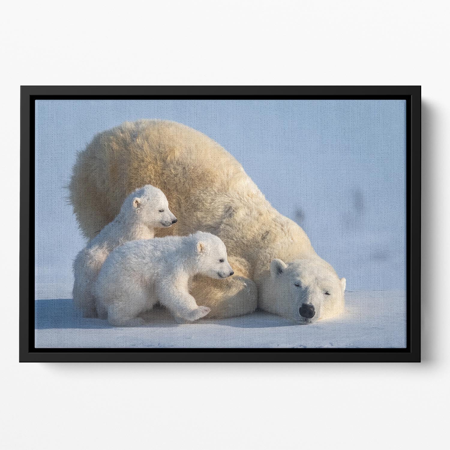 Mum Play together Floating Framed Canvas - 1x - 2