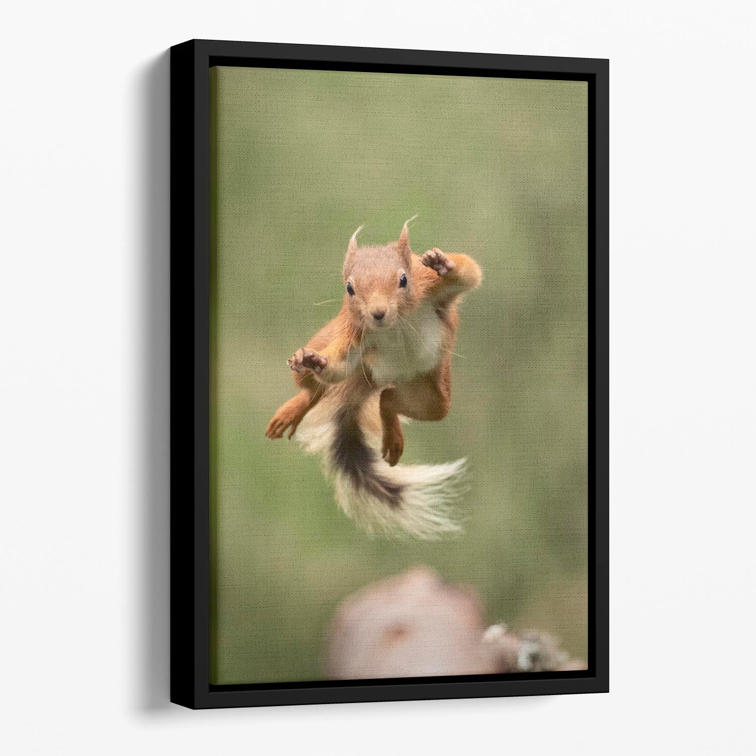 Ninja dancing Floating Framed Canvas - 1x - 1