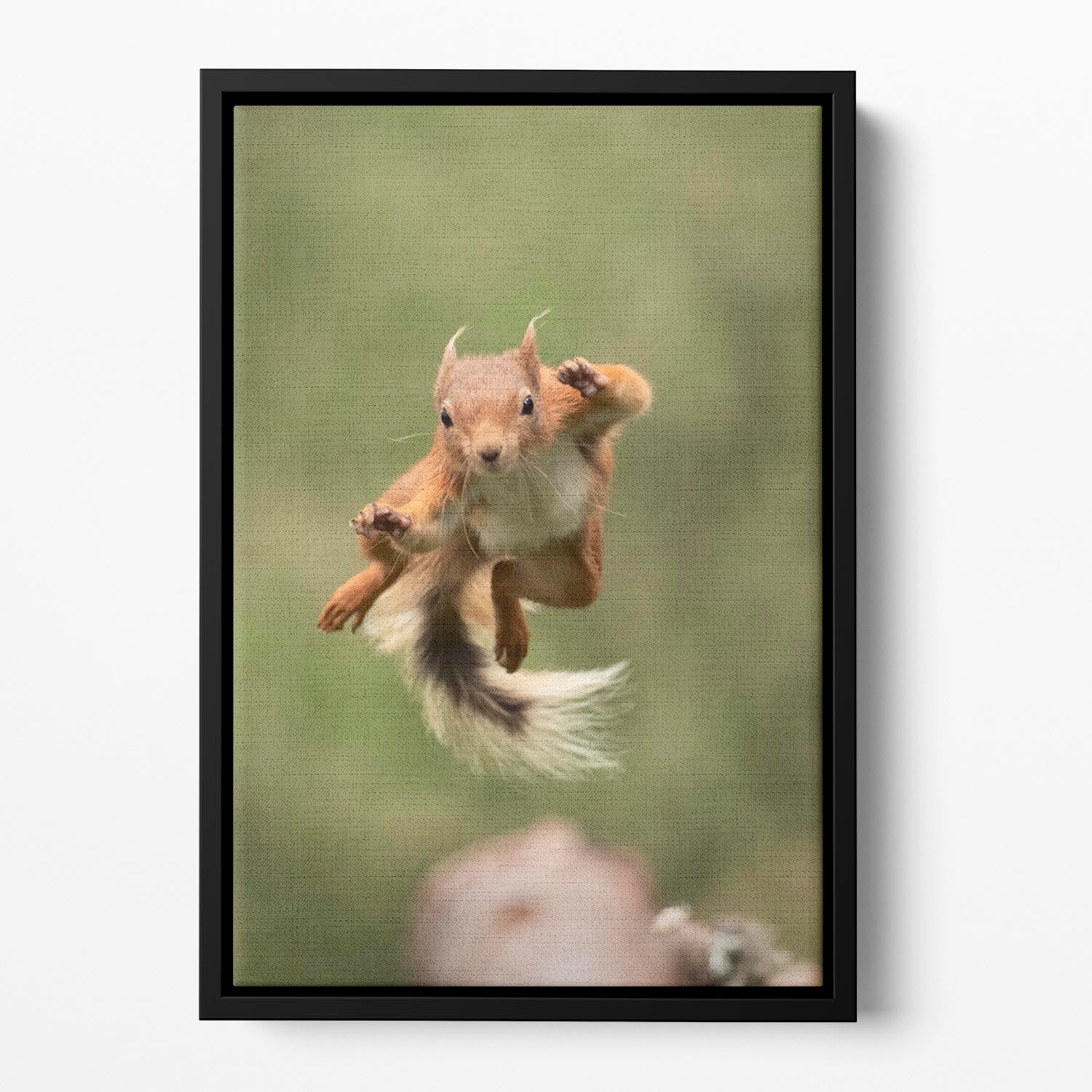 Ninja dancing Floating Framed Canvas - 1x - 2