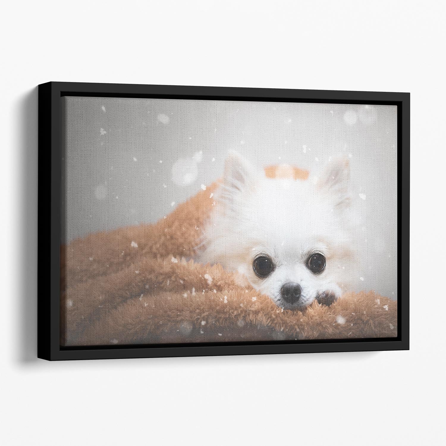 One day in winter Floating Framed Canvas - 1x - 1