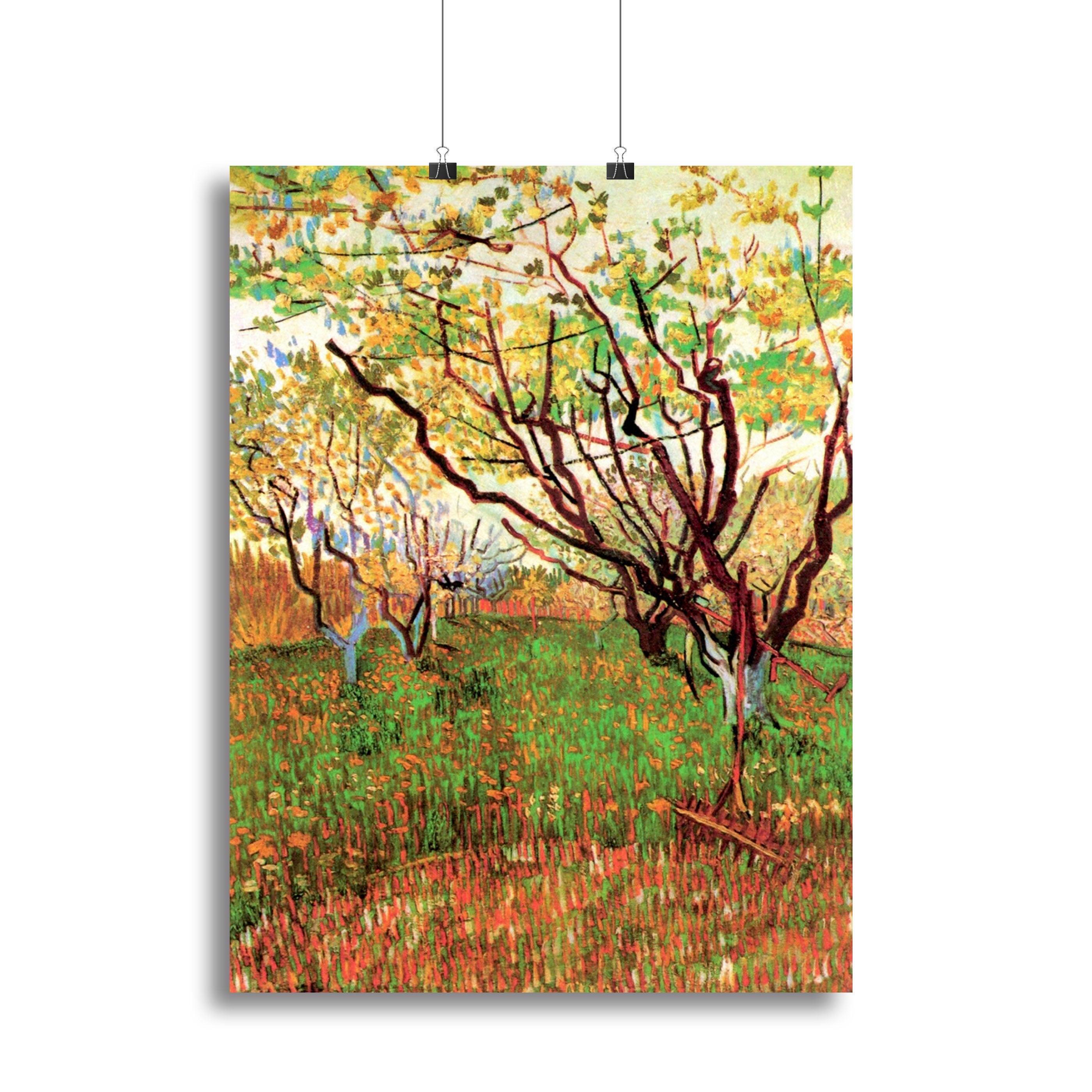 Orchard in Blossom by Van Gogh Poster - Unframed