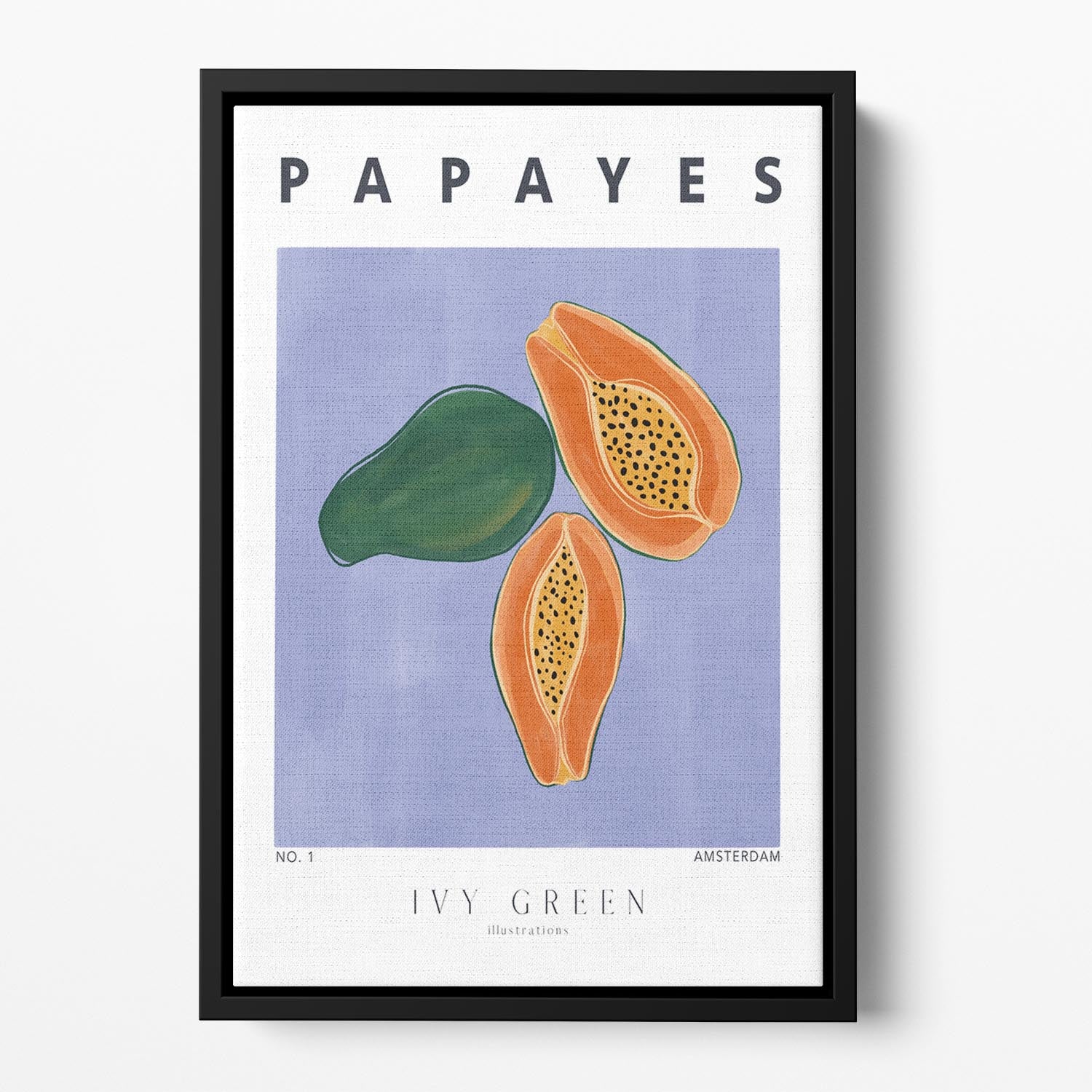 Papayes Floating Framed Canvas - Canvas Art Rocks - 2