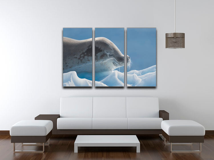 Peaceful Seal 3 Split Panel Canvas Print - 1x - 3