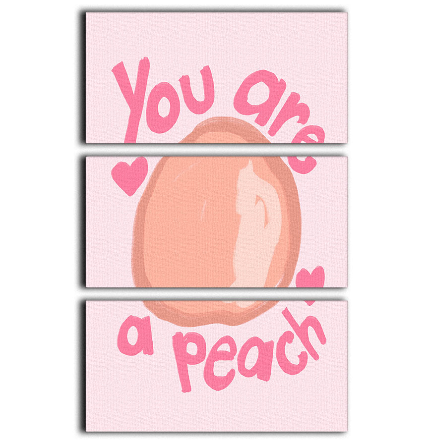 Peach 3 Split Panel Canvas Print - Canvas Art Rocks - 1