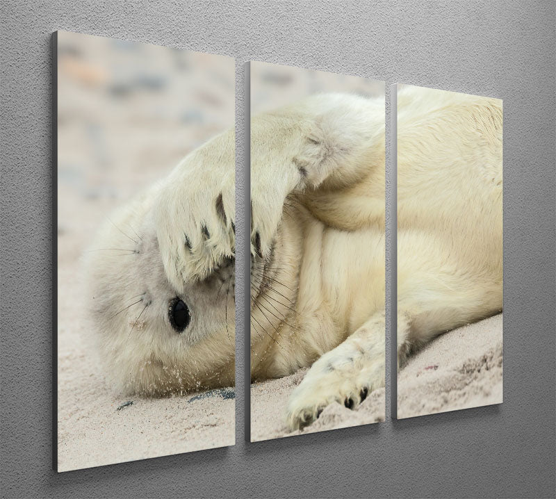 Peekaboo 3 Split Panel Canvas Print - 1x - 2