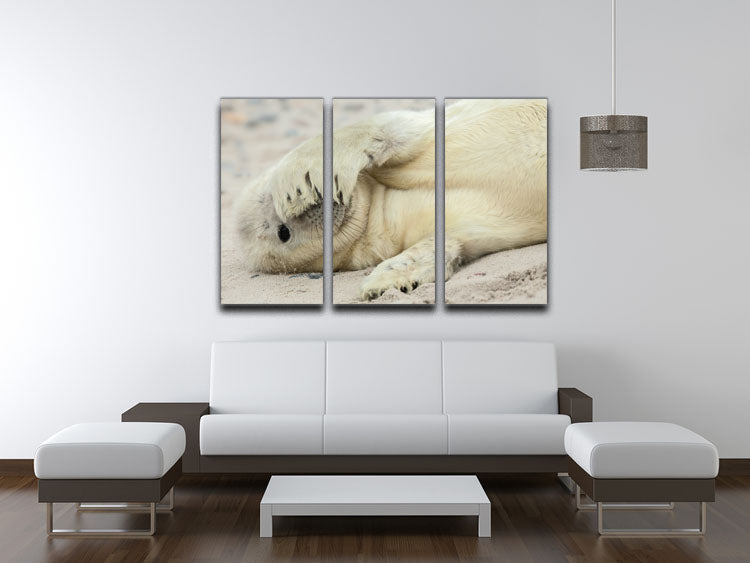 Peekaboo 3 Split Panel Canvas Print - 1x - 3