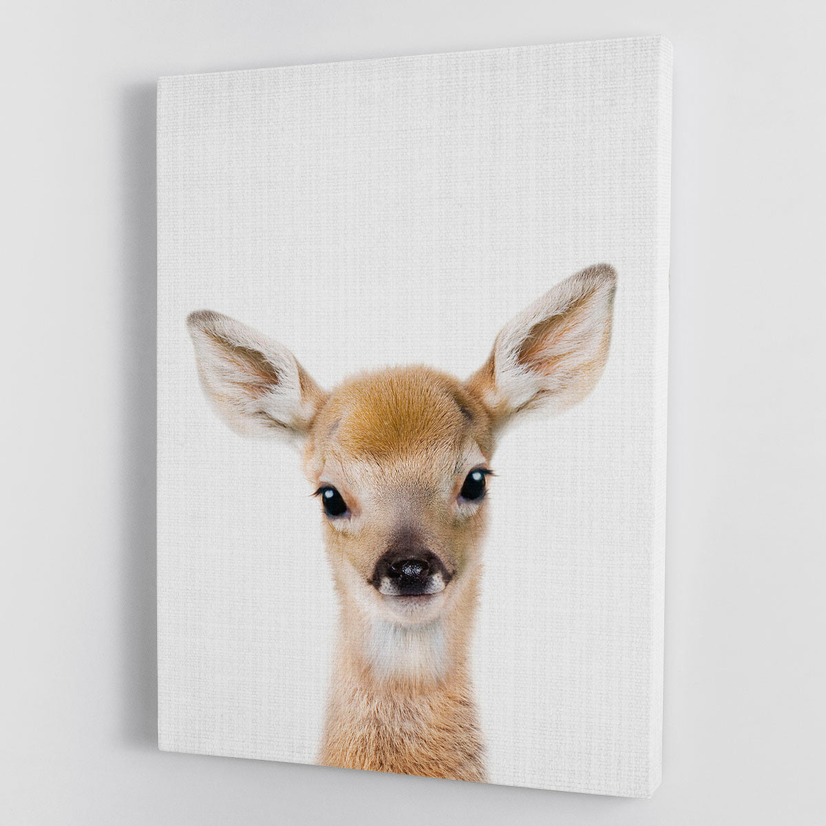 Peekaboo Baby Deer Canvas Print or Poster - 1x - 1