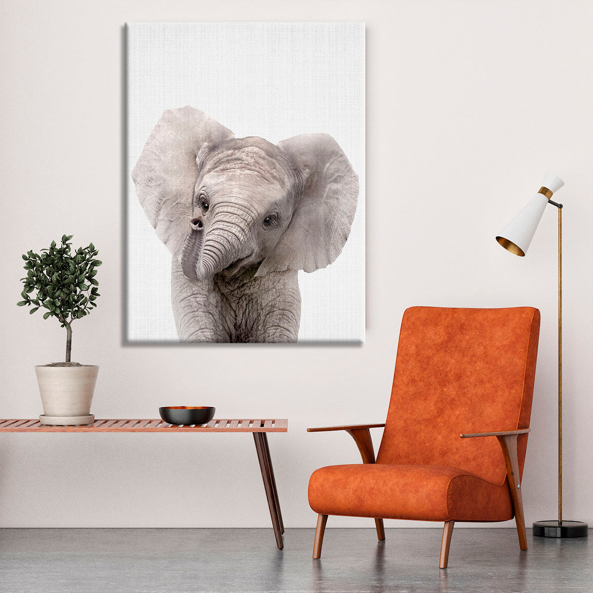 Peekaboo Baby Elephant Canvas Print or Poster - 1x - 6