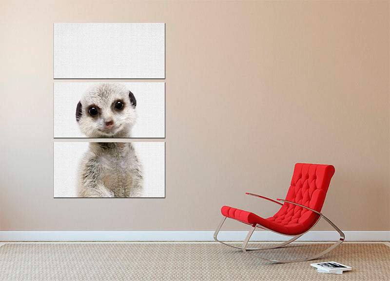 Peekaboo Baby Meerkat 3 Split Panel Canvas Print - 1x - 2