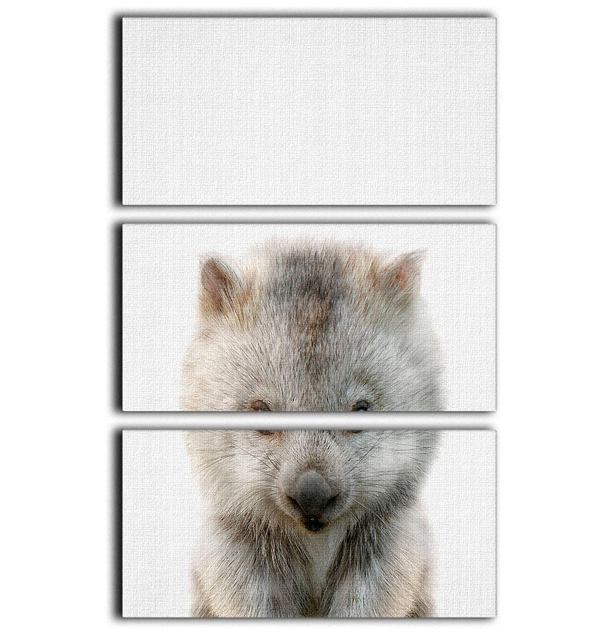 Peekaboo Baby Wombat 3 Split Panel Canvas Print - 1x - 1