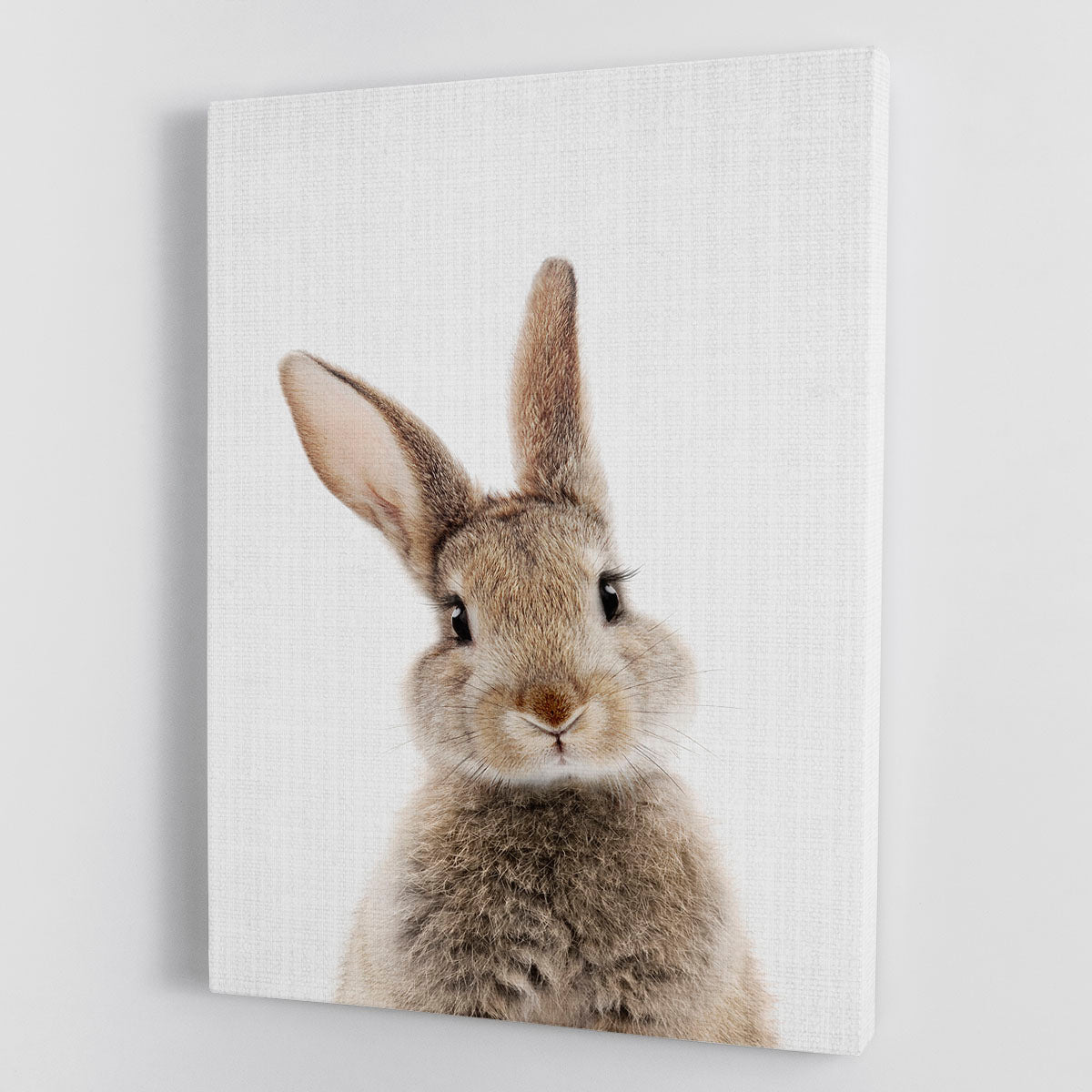 Peekaboo Bunny Canvas Print or Poster - 1x - 1