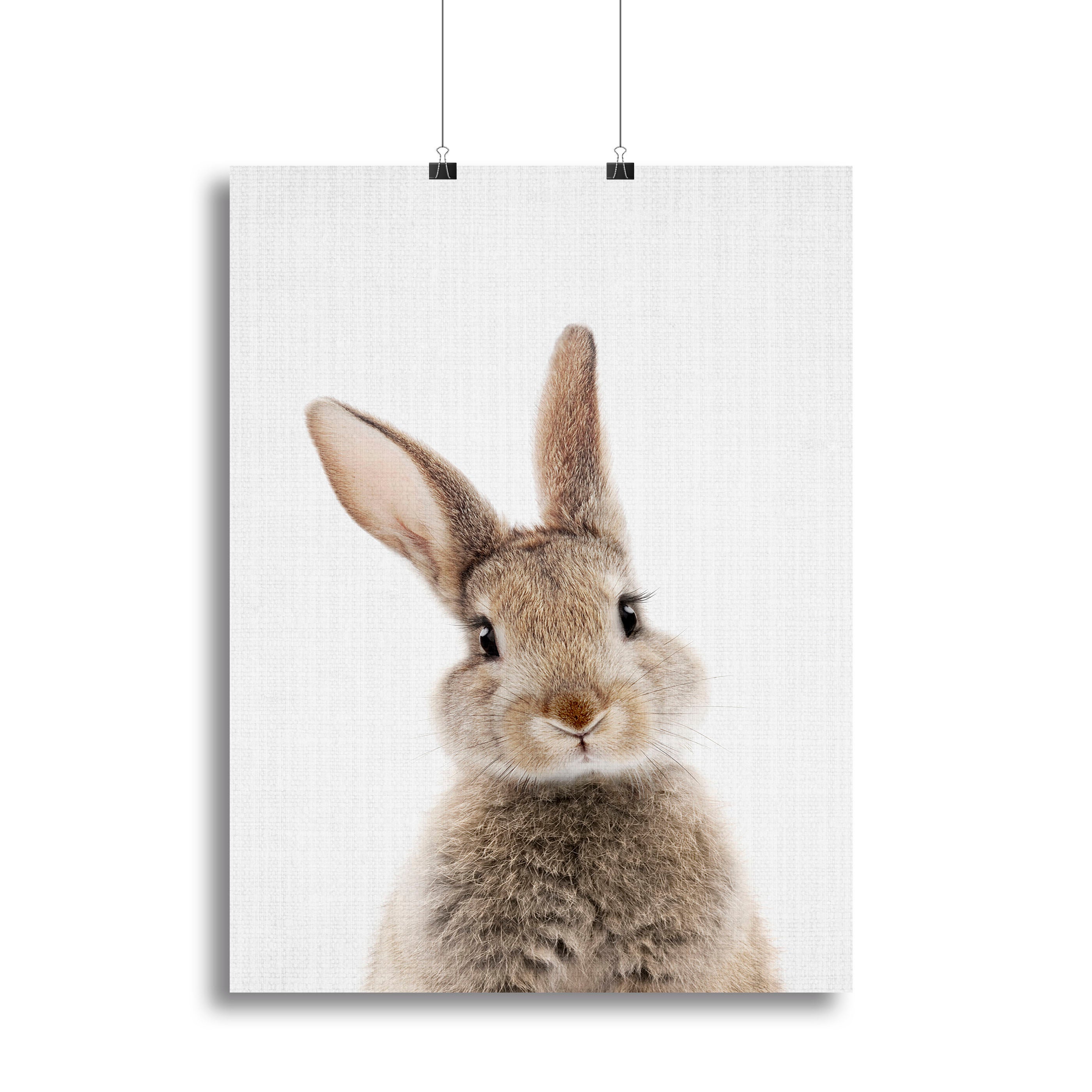 Peekaboo Bunny Canvas Print or Poster - 1x - 2