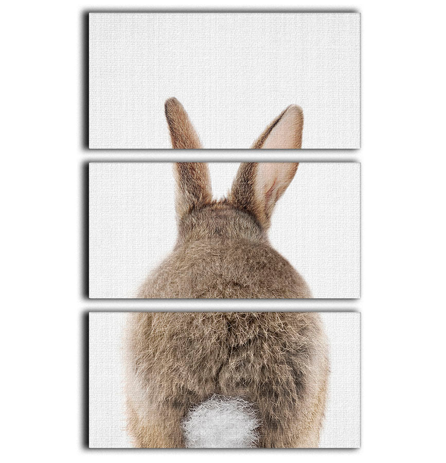 Peekaboo Bunny Tail 3 Split Panel Canvas Print - 1x - 1