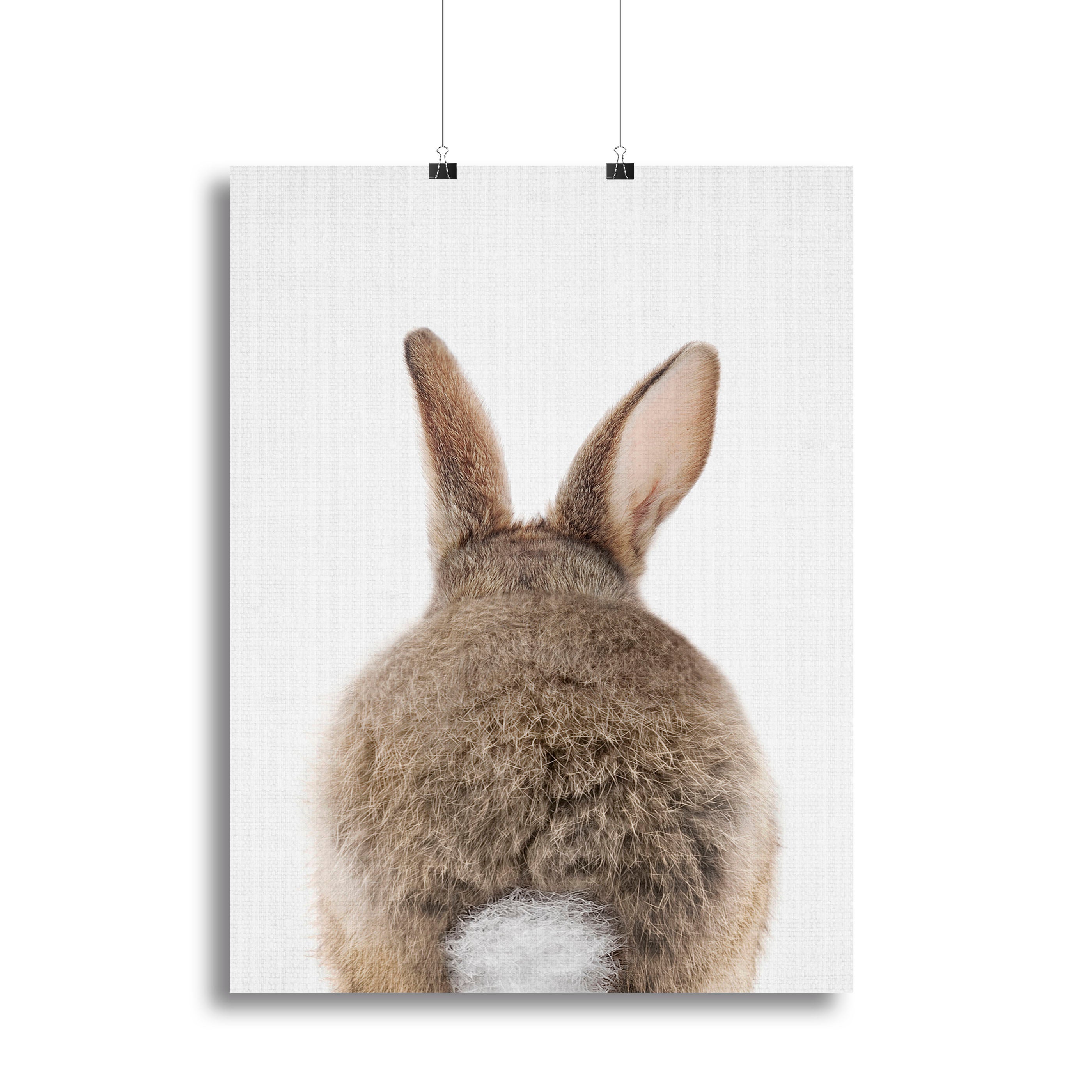 Peekaboo Bunny Tail Canvas Print or Poster - 1x - 2