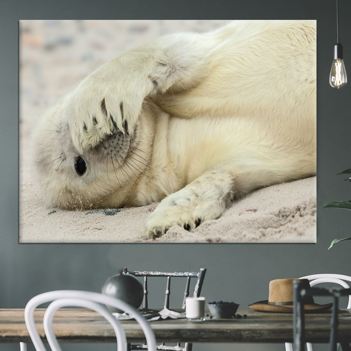 Peekaboo Canvas Print or Poster - 1x - 3