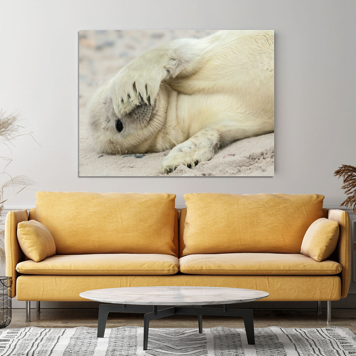 Peekaboo Canvas Print or Poster - 1x - 4