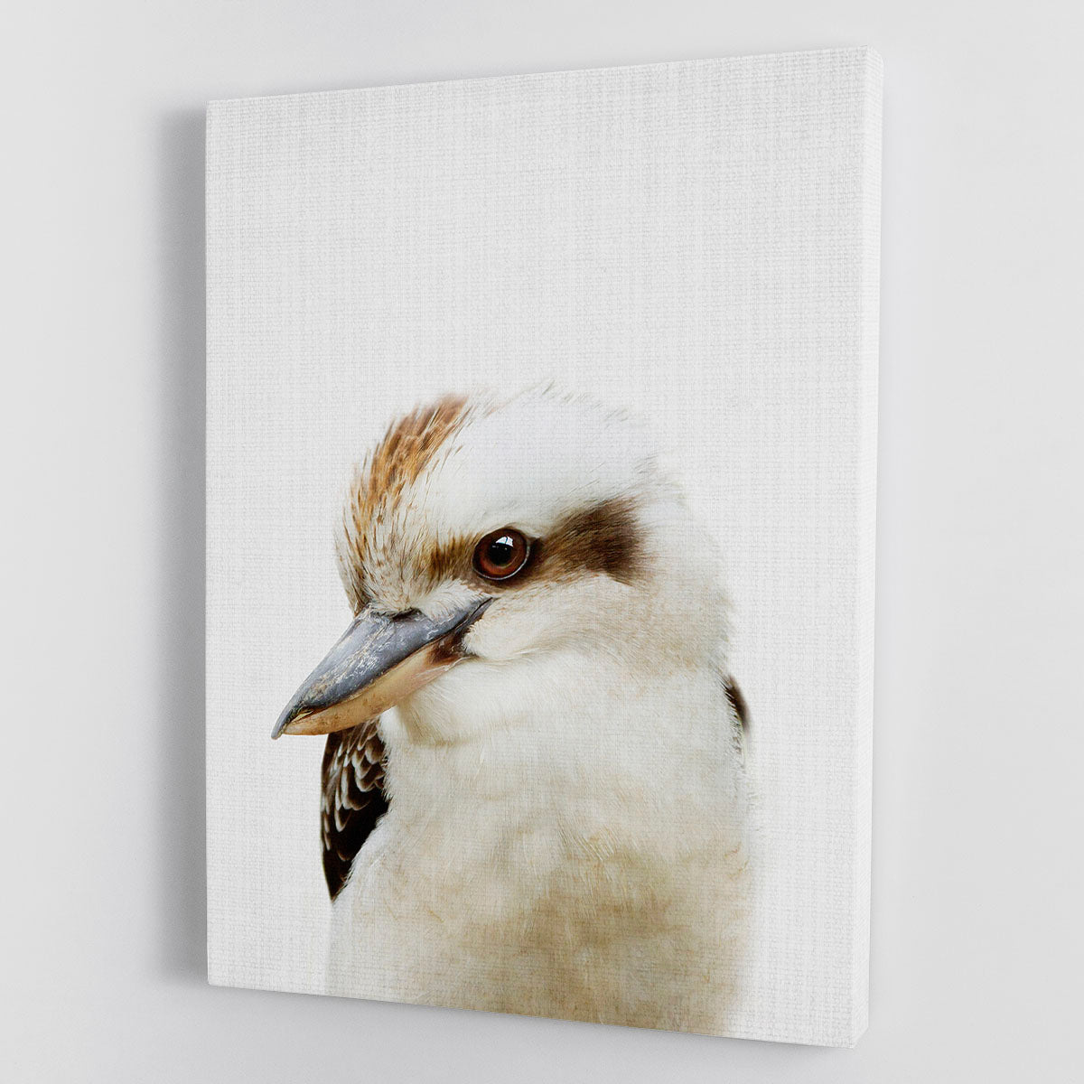 Peekaboo Kookaburra Canvas Print or Poster - 1x - 1