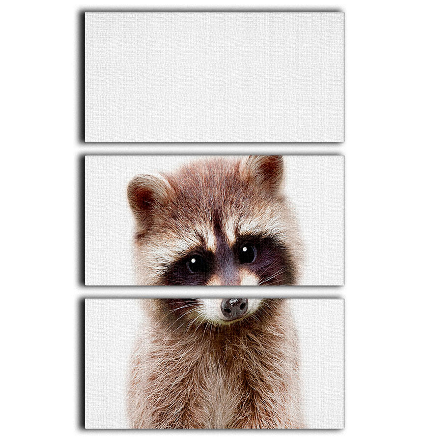 Peekaboo Raccoon 3 Split Panel Canvas Print - 1x - 1