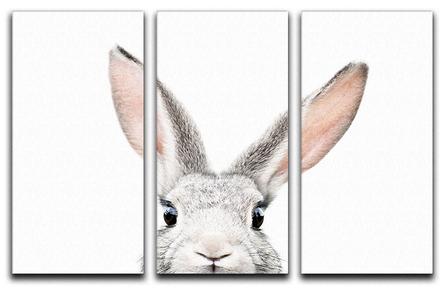 Peeking Bunny 3 Split Panel Canvas Print - 1x - 1