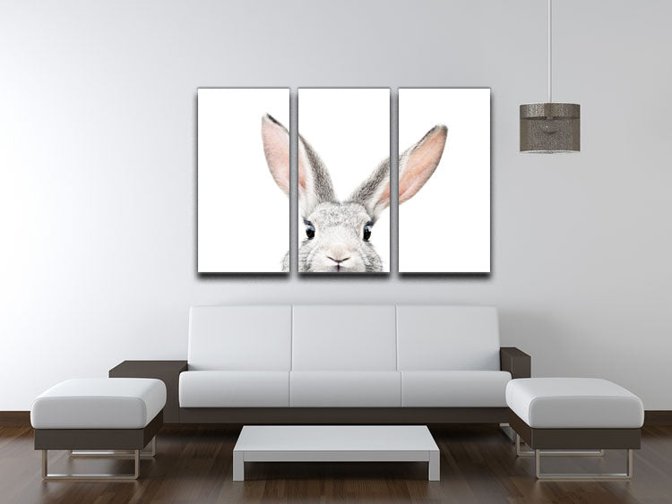 Peeking Bunny 3 Split Panel Canvas Print - 1x - 3