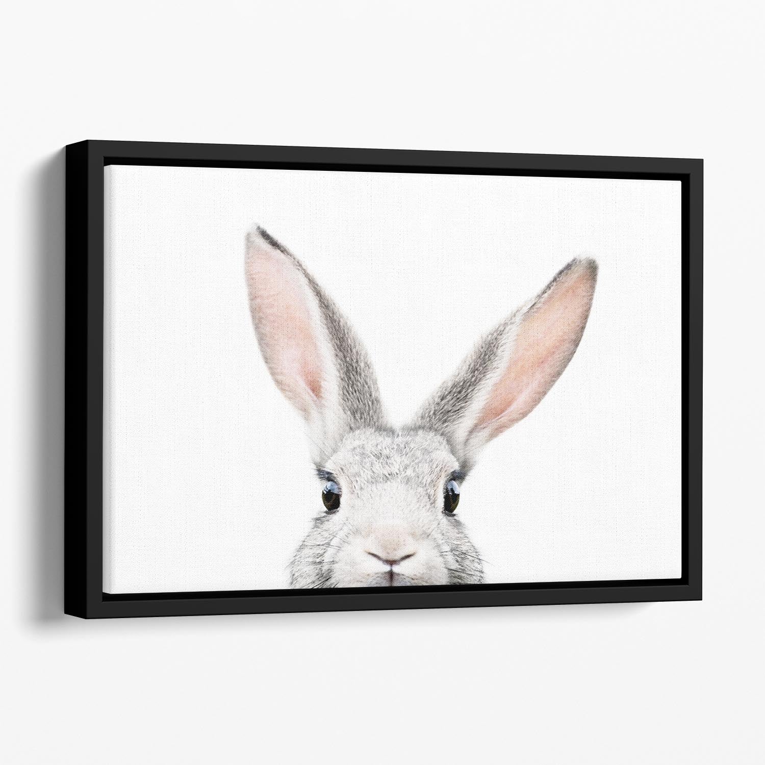 Peeking Bunny Floating Framed Canvas - 1x - 1