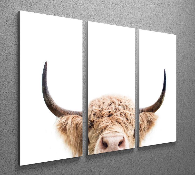 Peeking Cow 3 Split Panel Canvas Print - 1x - 2