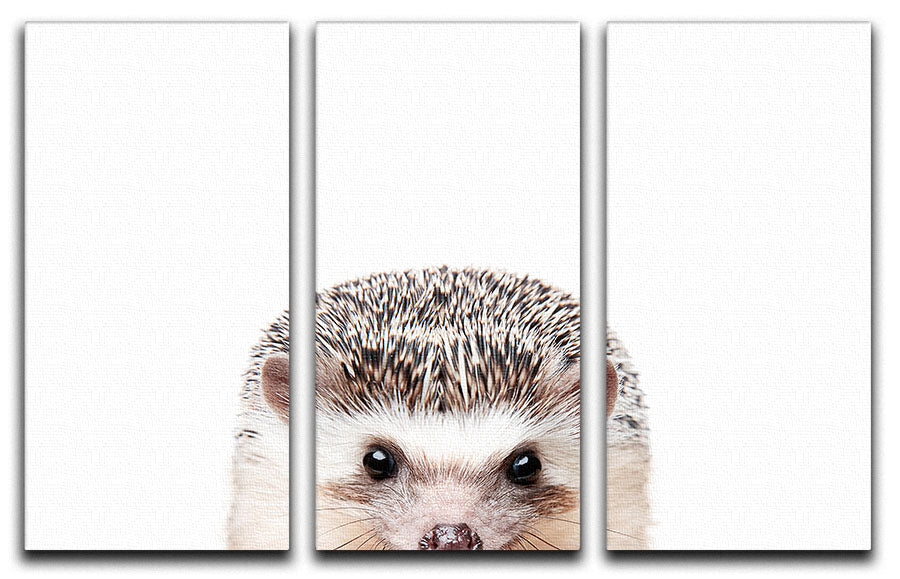 Peeking Hedgehog 3 Split Panel Canvas Print - 1x - 1