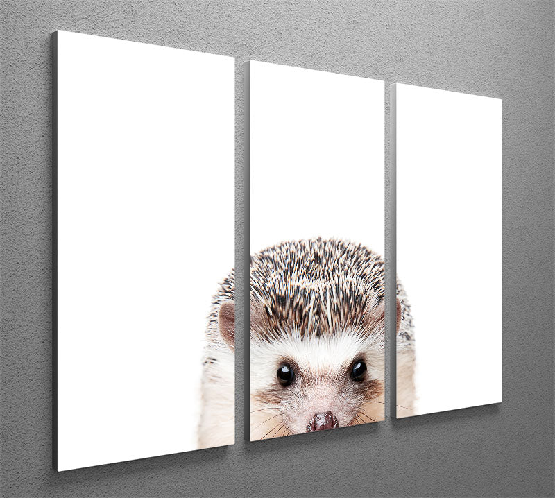 Peeking Hedgehog 3 Split Panel Canvas Print - 1x - 2