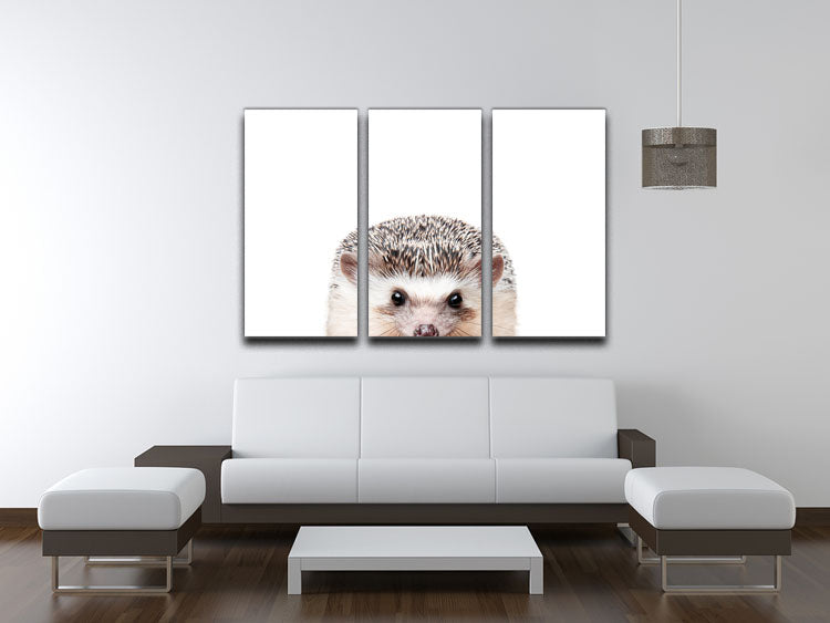 Peeking Hedgehog 3 Split Panel Canvas Print - 1x - 3