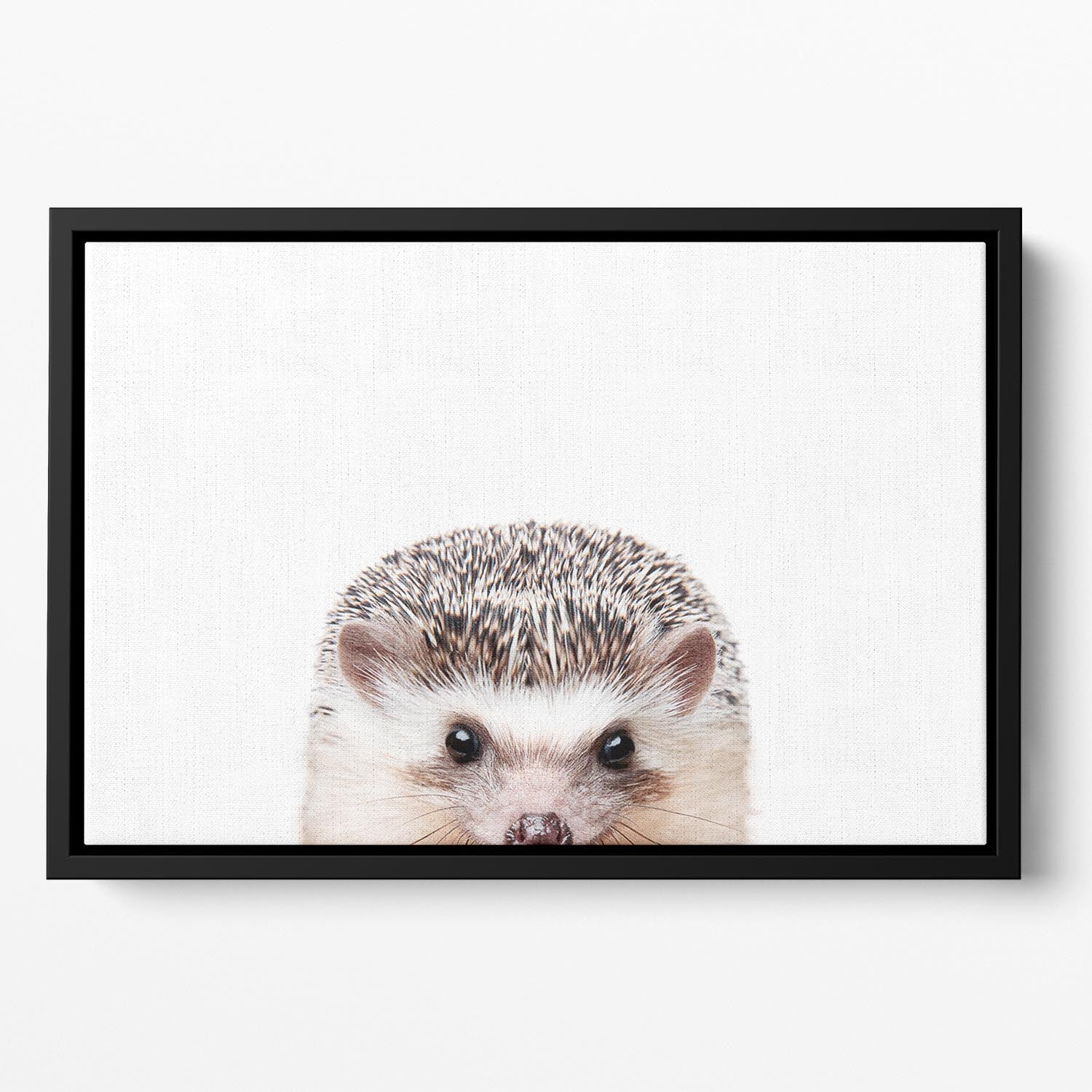 Peeking Hedgehog Floating Framed Canvas - 1x - 2