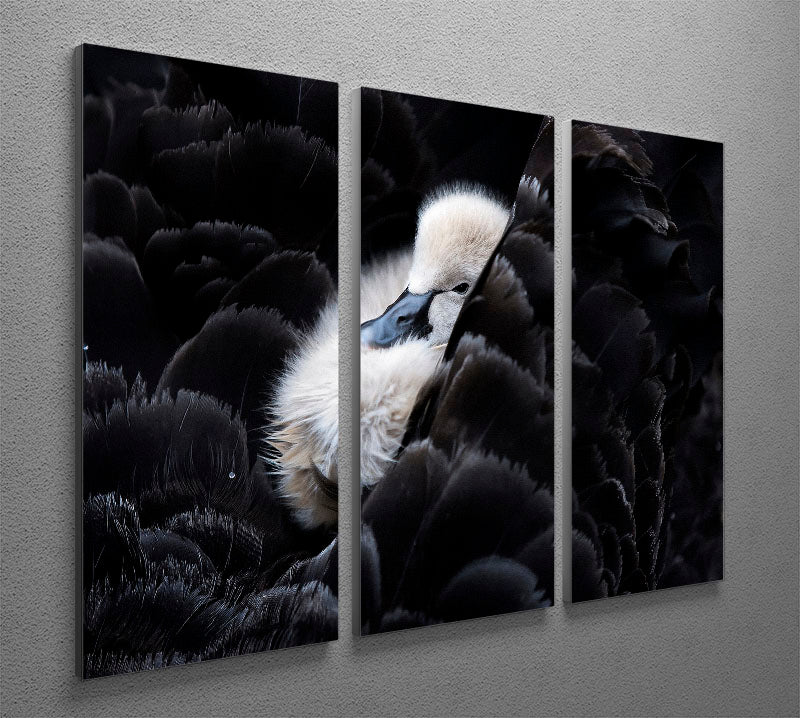 Pickaback 3 Split Panel Canvas Print - 1x - 2