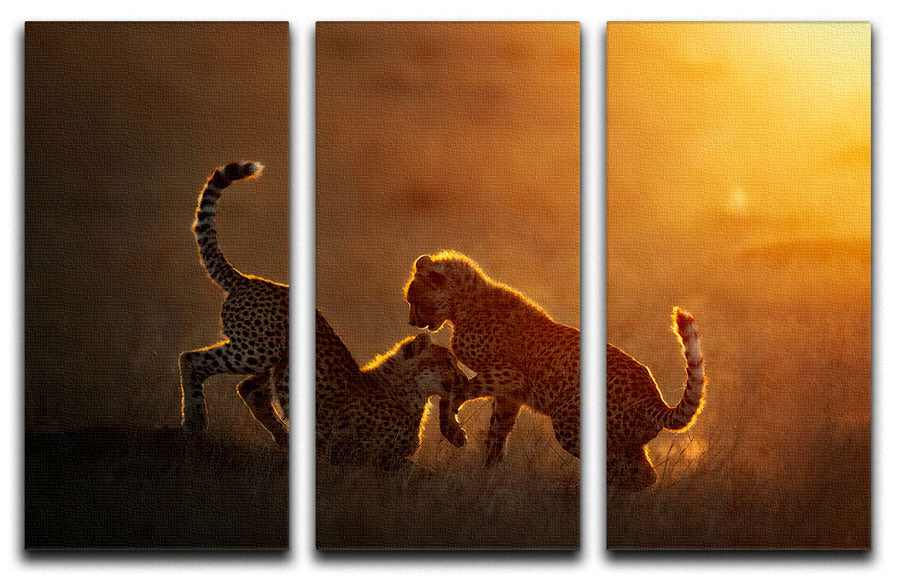 Playing at sunrise 3 Split Panel Canvas Print - 1x - 1