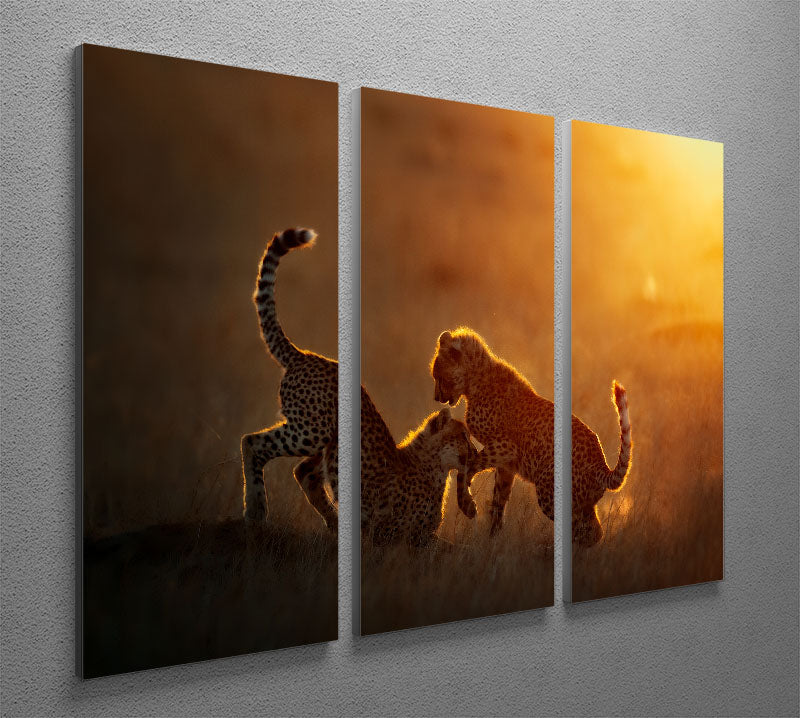 Playing at sunrise 3 Split Panel Canvas Print - 1x - 2