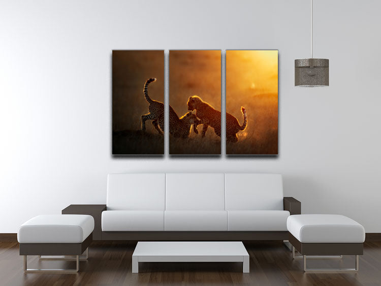 Playing at sunrise 3 Split Panel Canvas Print - 1x - 3