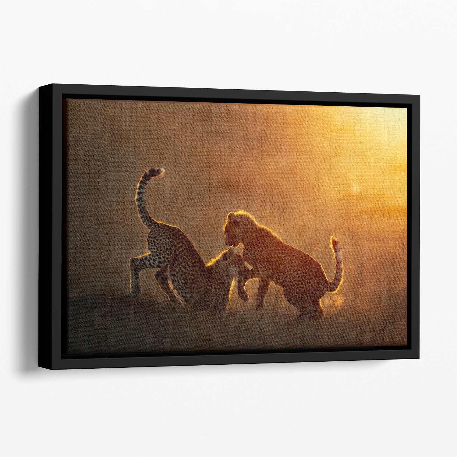 Playing at sunrise Floating Framed Canvas - 1x - 1