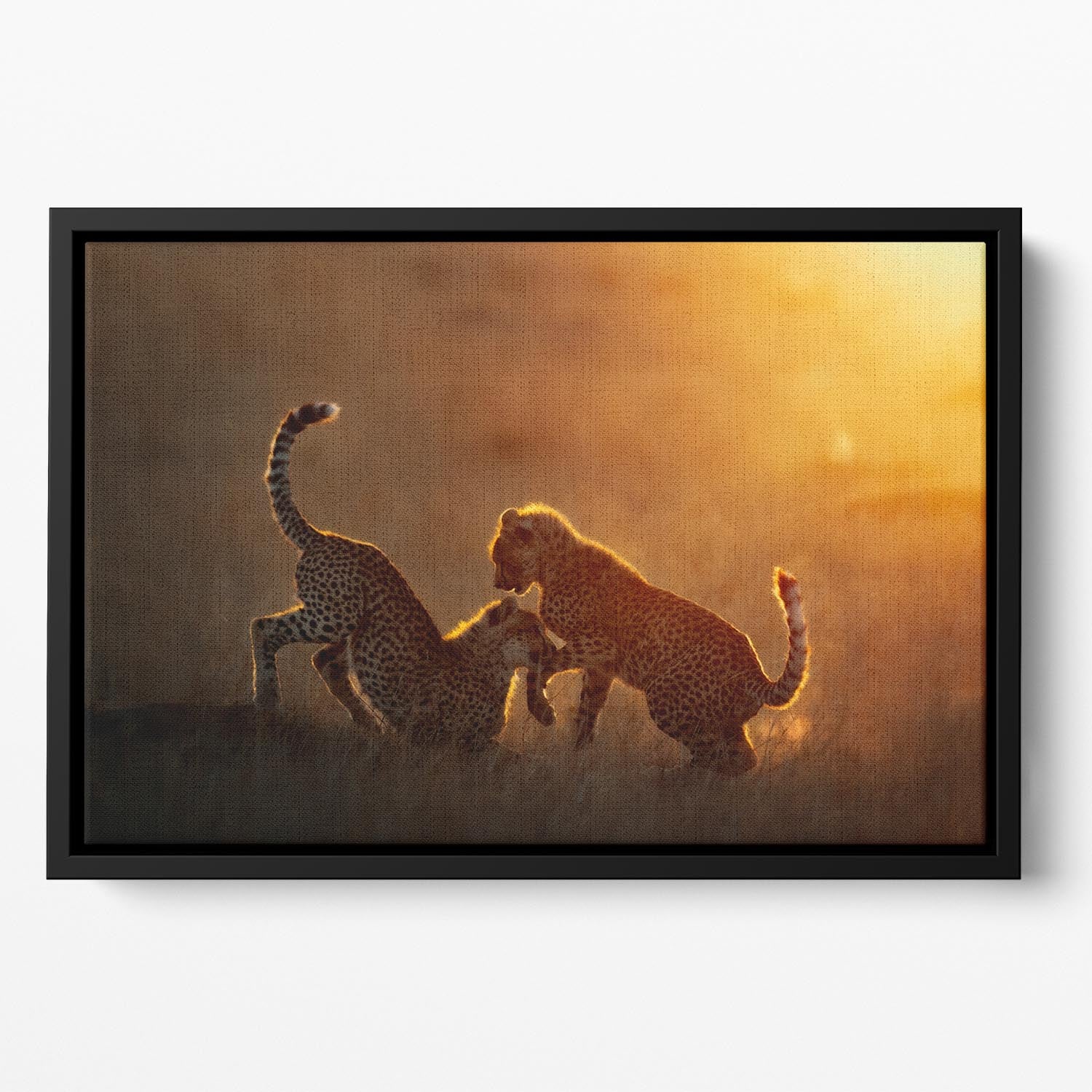 Playing at sunrise Floating Framed Canvas - 1x - 2