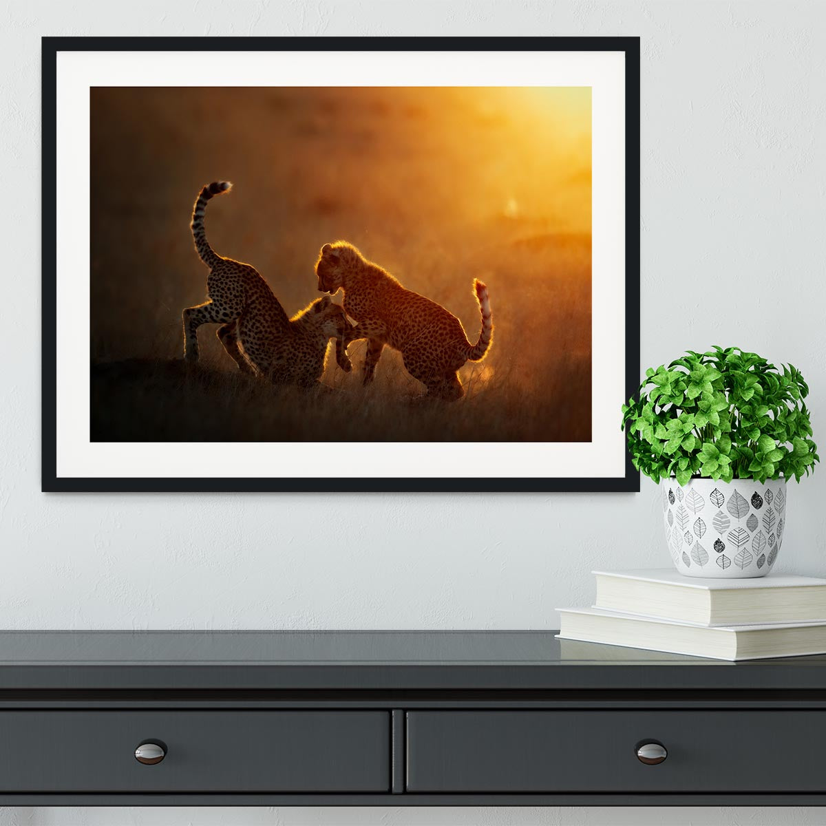 Playing at sunrise Framed Print - 1x - 1