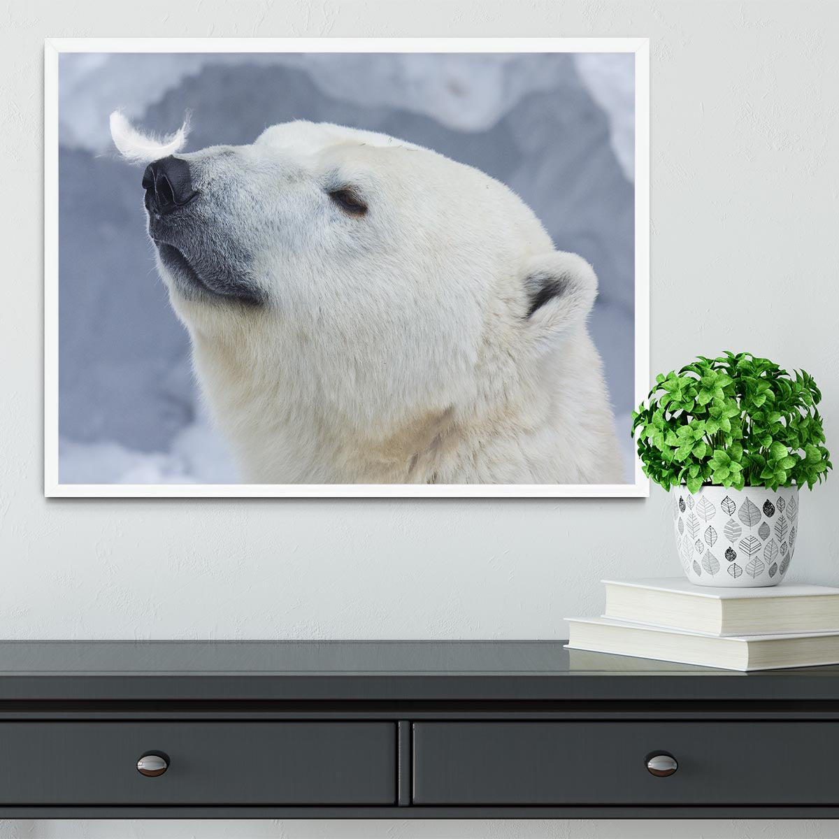 Polar bear White Framed Print - 1x -6