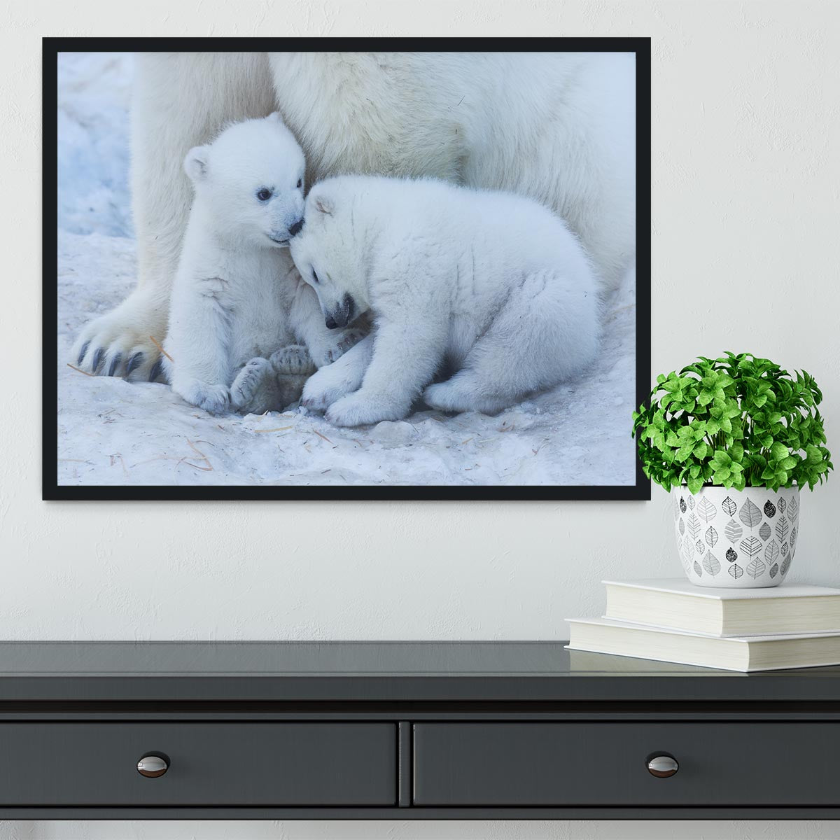 Polar bear cub Framed Print - 1x - 2