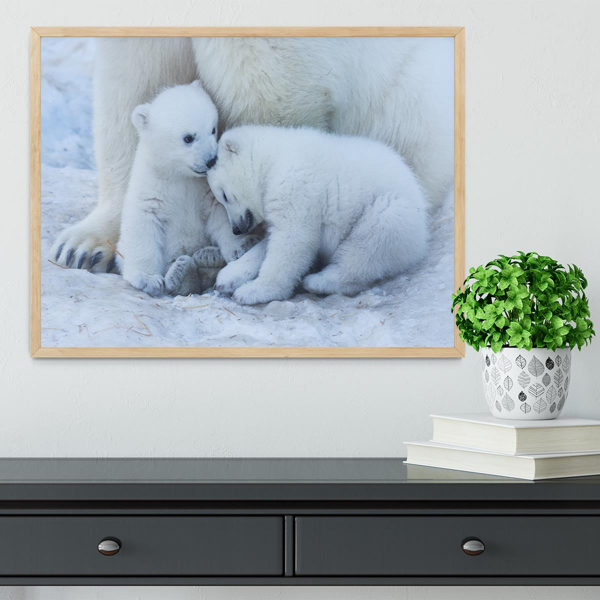 Polar bear cub Framed Print - 1x - 4