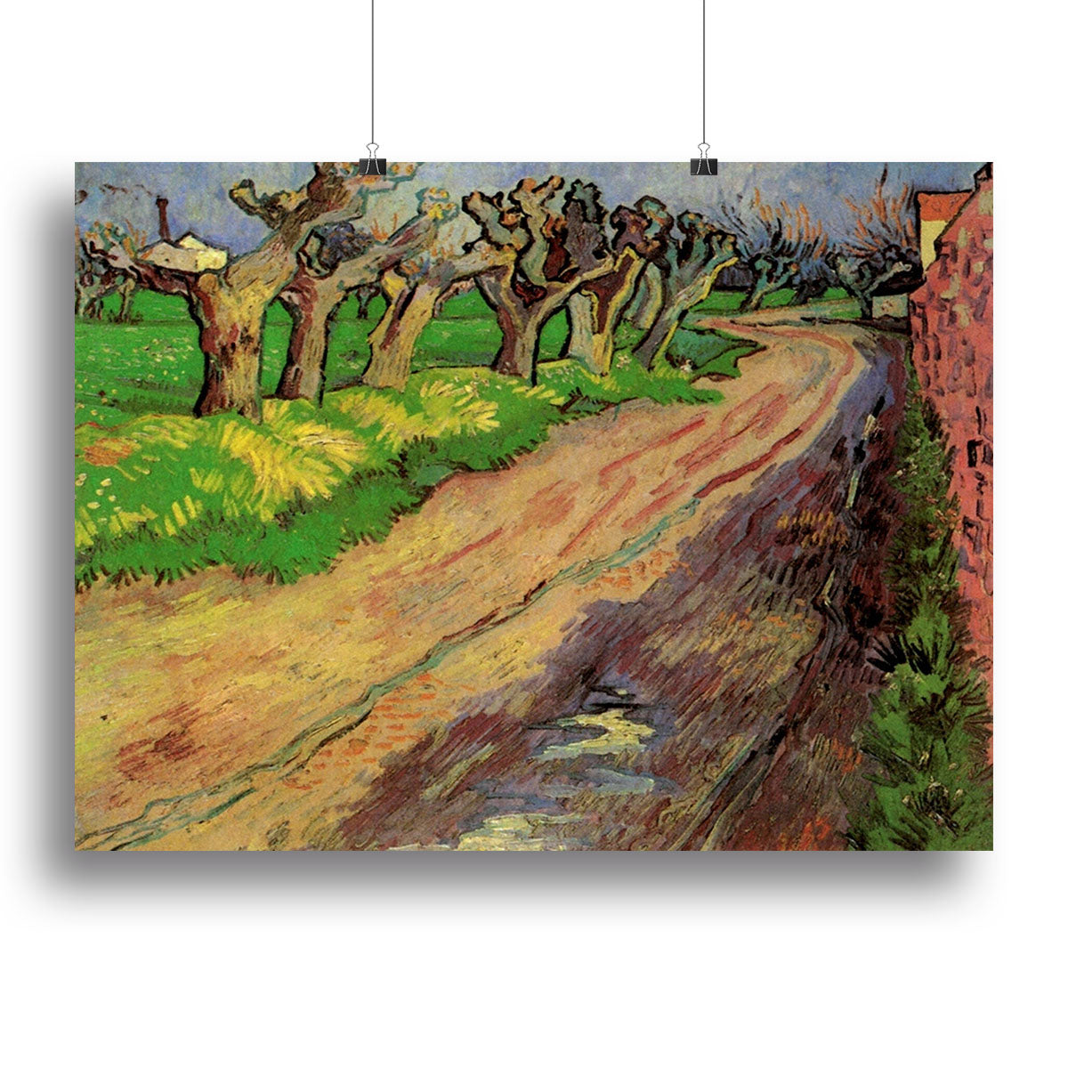 Pollard Willows by Van Gogh Poster - Unframed