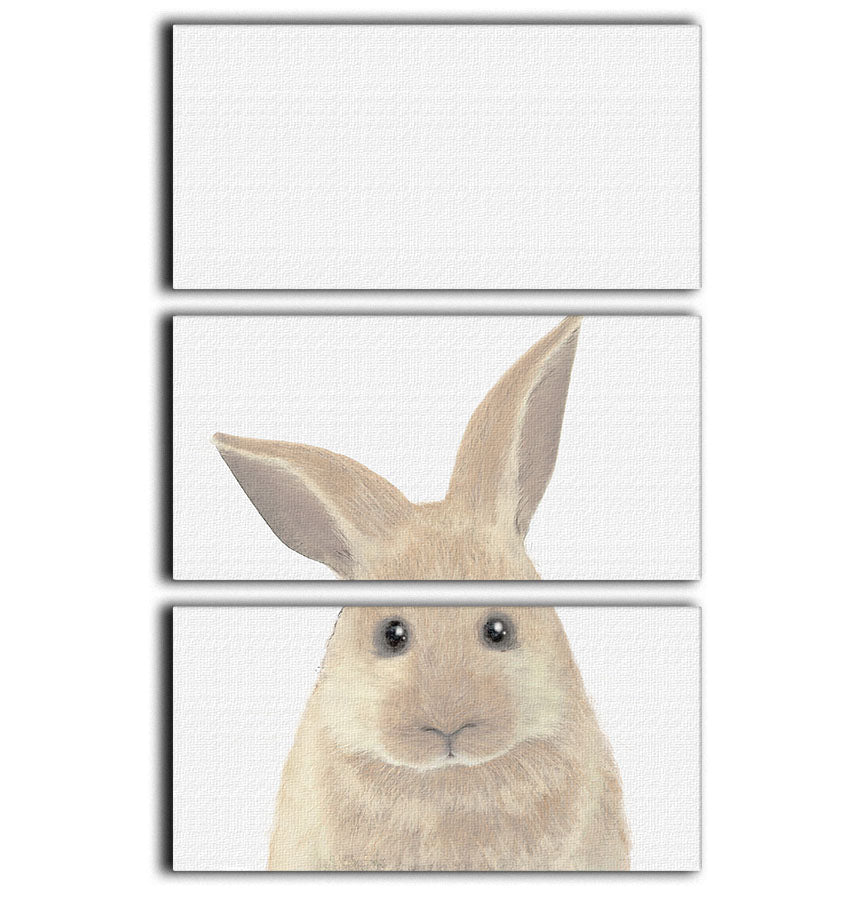 Rabbit 3 Split Panel Canvas Print - 1x - 1