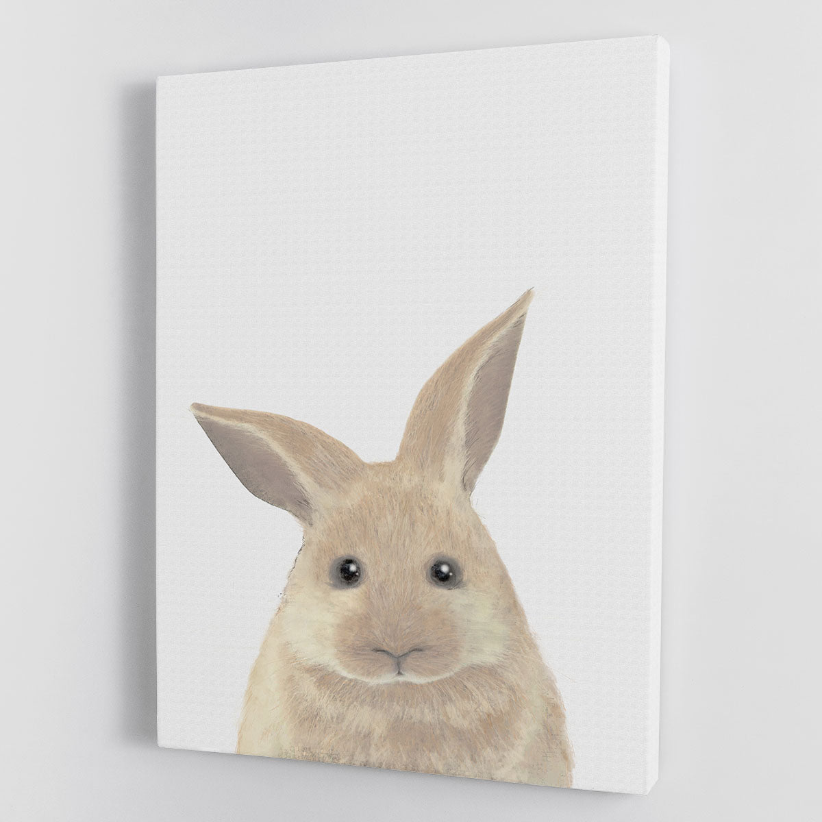 Rabbit Canvas Print or Poster - 1x - 1