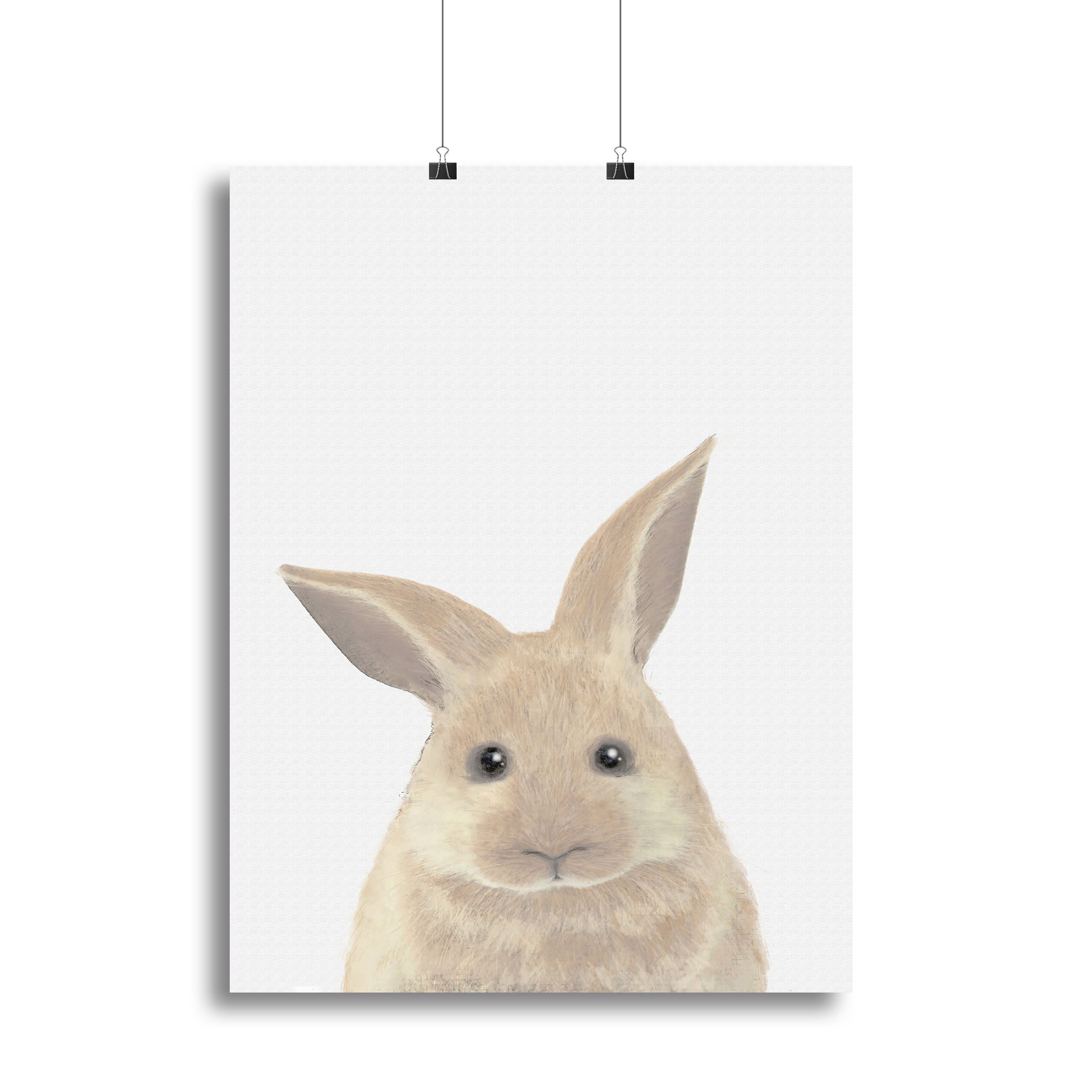 Rabbit Canvas Print or Poster - 1x - 2