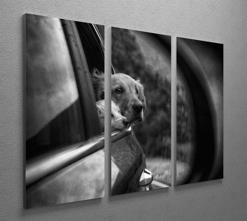 Roadtrip 3 Split Panel Canvas Print - 1x - 2